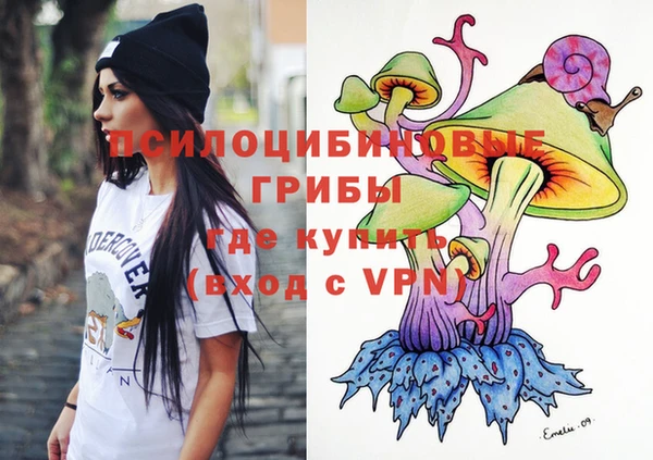 героин Ельня