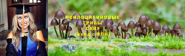 спиды Елизово