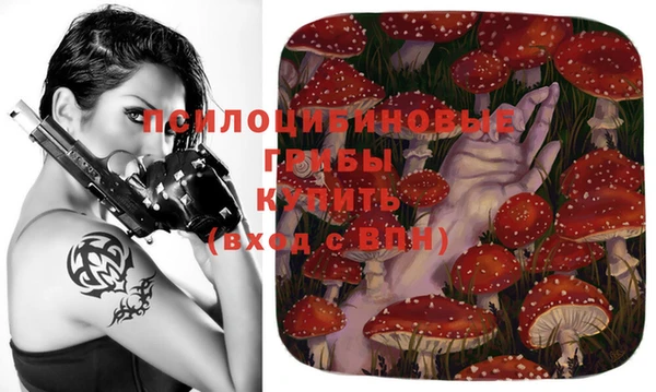 героин Ельня