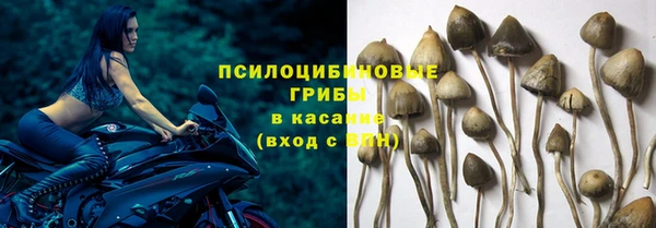 героин Ельня
