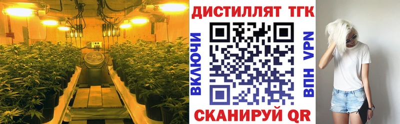Дистиллят ТГК Wax  blacksprut ссылка  Салехард 