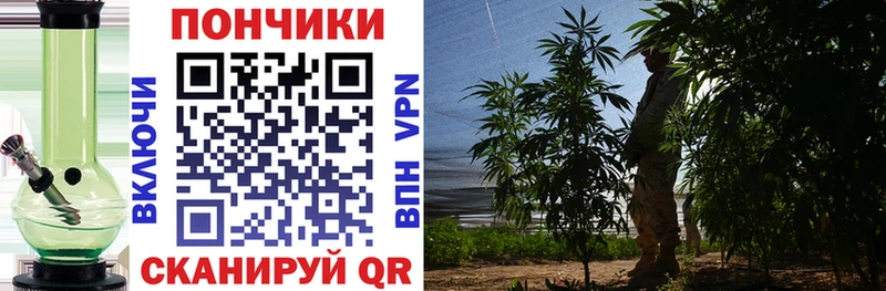 Шишки марихуана Ganja ссылка на мегу рабочий сайт Салехард
